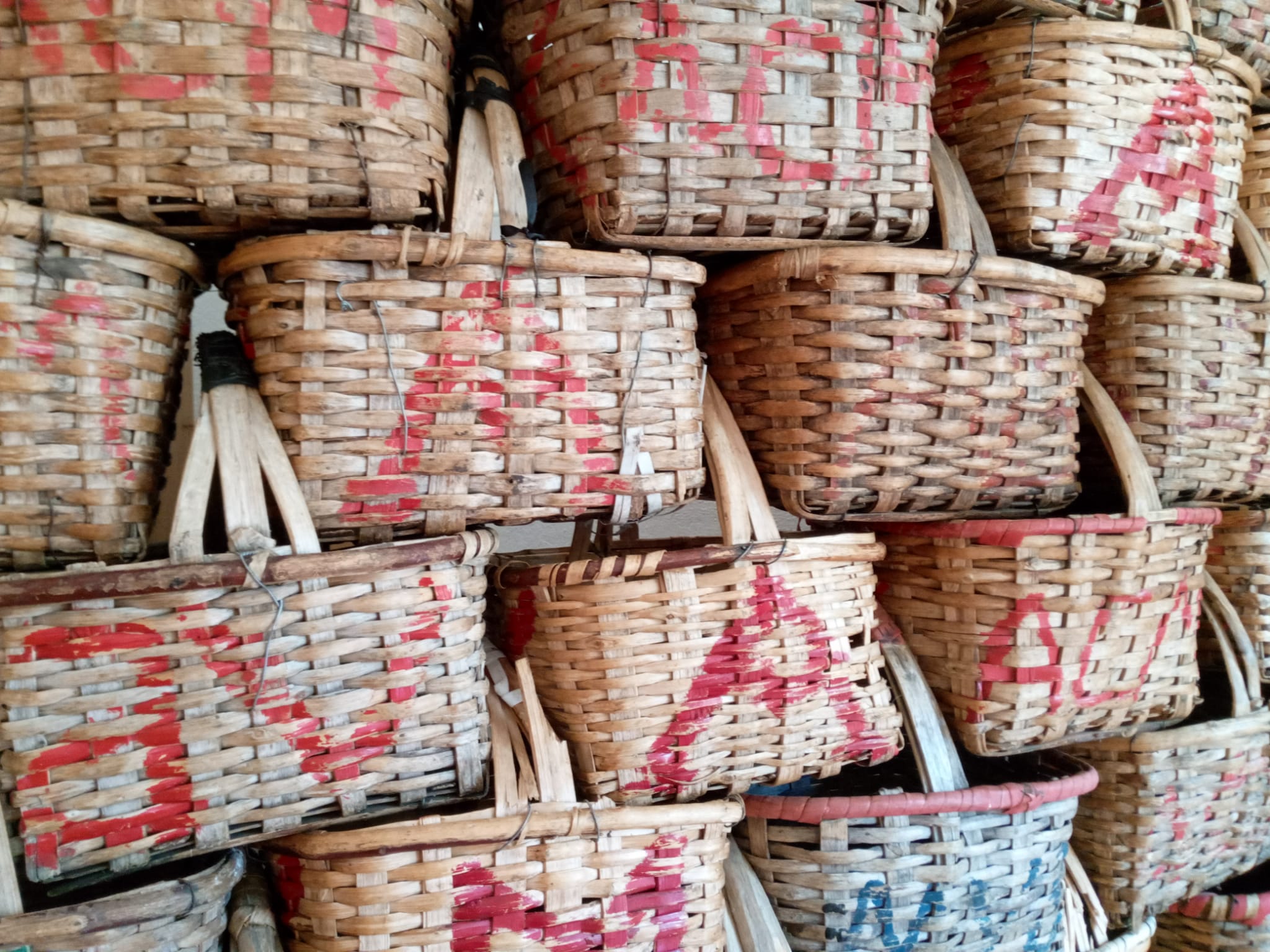 Odoo • Text and Image